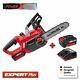 Heavy Duty Einhell 18v Lithium Cordless 10 Chainsaw Saw & 2 Batteries Charger